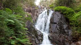 Melbourne: Private Lake Mountain Snow & Redwood Forest Tours