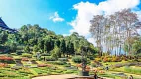 Nature Walk of Chandigarh( 2 Hours Walking Tour)
