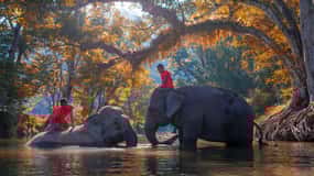 Kanchanaburi Private Charter from Bangkok | Thailand