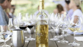 Von San Jose aus: Kleingruppentour Napa & Sonoma Valley Wine Tour