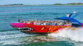 Boston: City Cruises Harbor Codzilla High Speed Thrill Boat