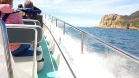 Knysna: Marine Life & Garden Route Coastline Tour