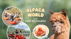 Desde Seúl: Granja de alpacas con bicicleta de raíl/ Carreras de trineos