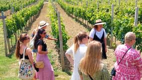 Weinberge in der Umgebung von Durres – Wein- und Verkostungstour