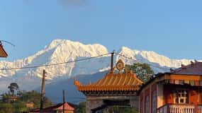 Morning half day Tibetan cultural tour