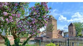 Strasbourg E-Bike Essentials - Top Sights in 2h30