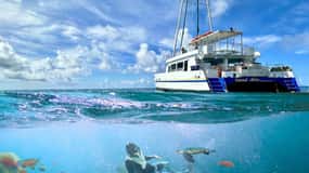 Avventura di snorkeling con le tartarughe a Waikiki