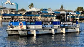Augustine: Dolphin Bay Wildlife and Local History Cruise