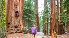 San Francisco: Alcatraz, Muir Woods & Sausalito 2-Day Tour
