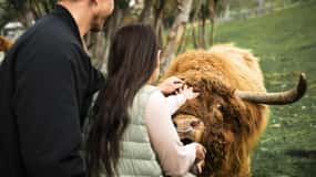 Queenstown: Walter Peak boerderij tour en rondvaart door het meer