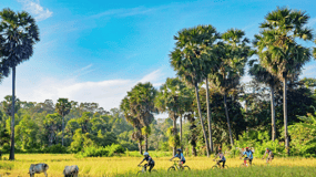 Siem Reap: Visita guiada ao campo em bicicleta e E-Bike