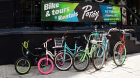 Mexico City: Art Naco, murals & street art bike tour
