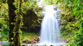 Boquete: Excursión a pie por el Bosque Nuboso