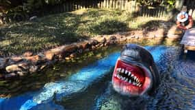 Houston Tour and Aquarium Ticket