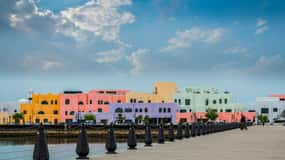 Doha's Urban Oasis City Tour with Dhow Boat Cruise (2 Hours)
