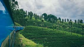 Kandy: Treno di prima classe per Nuwara Eliya con posti a sedere riservati