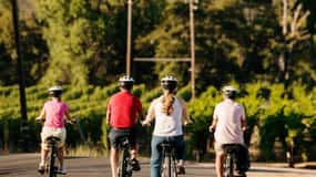 Healdsburg: Guided Electric Bike Wine Tour with Winery Stops