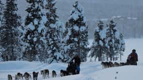 Kiruna: Morgonåkning med Husky-släde och kaffepaus