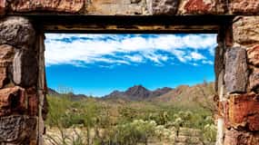 From Tucson: Sonoran Desert with Desert Museum Ticket