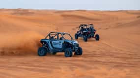 Dubai: Duin Buggy Safari en kamelenrit met vervoer
