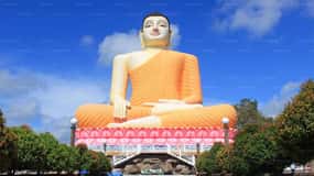 City Tour: Discover Aluthgama with Thrilling Adventures