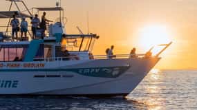 Excursion en bateau au coucher du soleil, réserve naturelle de la côte