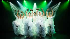 Tenerife : Olé Flamenco Show by Fran Chafino Ticket