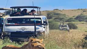 Nairobi: Nairobi National Park 5-hour Guided Game Drive