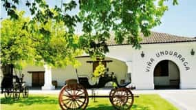 Undurraga Wine tour