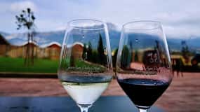 Rioja: Ruta del Vino con un Experto Local con Degustaciones
