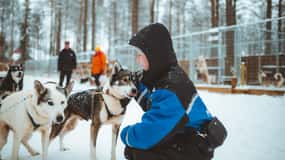 Rovaniemi: Tidig vintertur med huskysläde