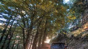 4x4 Serra da Estrela