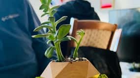 Magnetic Floating Terrarium Workshop