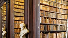 Dublino: Tour privato "Skip-the-line Book of Kells & Old Town" (senza prenotazione)