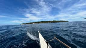 Pamilacan island: Dolphins, snorkel, lunch and walking tour