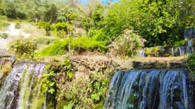 Da Chania: Tour guidato del lago Kournas e delle sorgenti di Argiroupoli
