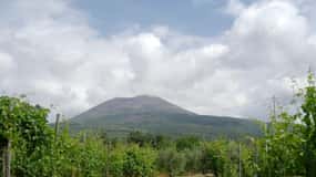 Boscotrecase: tour di degustazione di vini del Vesuvio con pranzo