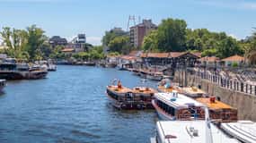 Buenos Aires: Viagem privada de 1 dia ao Delta do Tigre com um local
