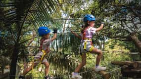 Pennant Hills: Junior trädklättringsbana