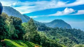 Cochin: 6-Day Private Tour with Munnar, Thekkady & Alleppey