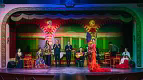Sevilla: Flamenco en El Palacio Andaluz con Cena Opcional
