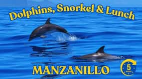 Sumérgete en el Paraíso: Delfín de Manzanillo, Snorkel y Comida