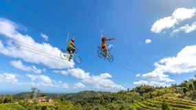 From San Juan: Zipline & Toro Bike Tour with Transportation