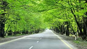 3 Nights 4 Days Azerbaijan Tour Package - Option 04