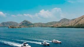 Guided full-day Exploration trip of Komodo Island