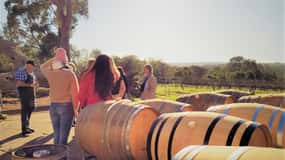Delicias Secretas: Ruta del Vino, el Café, la Artesanía y el Bosque