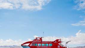 From Caleta de Fuste: Return Bus and Ferry to Lobos Island