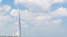 Naples: Catamaran Cruises with Wildlife Views