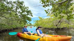 Robinson Preserve Mangrove Tour
