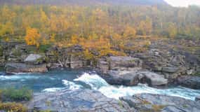 Kiruna: Guidad dagstur till Abisko nationalpark med lunch